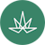 True Cannabis